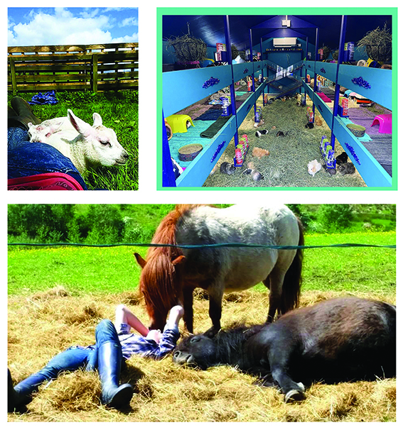 Comraich Animal Sanctuary, Waterside, Kilmarnock Bruach Architects